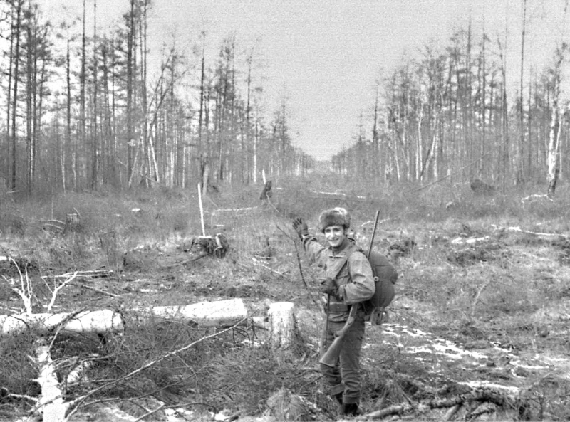 Как обеспечить электричеством дом в лесу